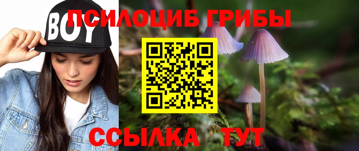 Псилоцибиновые грибы ЛСД  Вход с VPN  Большой Камень 